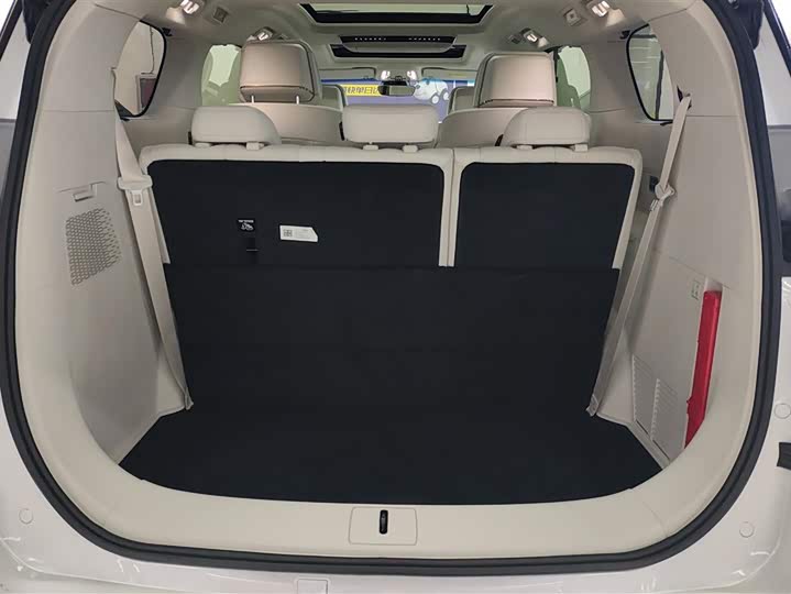 Фото 4 - Buick GL8 ES