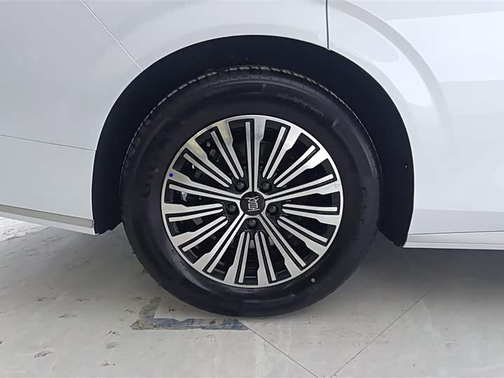 Фото 6 - BYD Xia