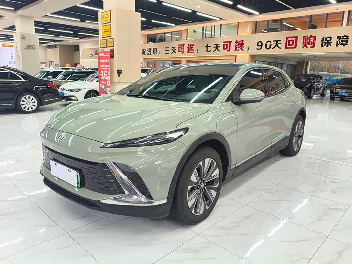 Фото 1 - Buick Electra E4