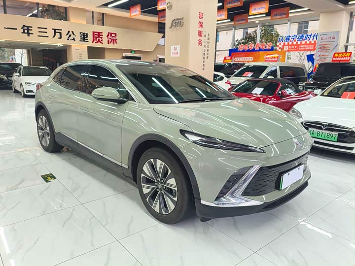 Фото 3 - Buick Electra E4