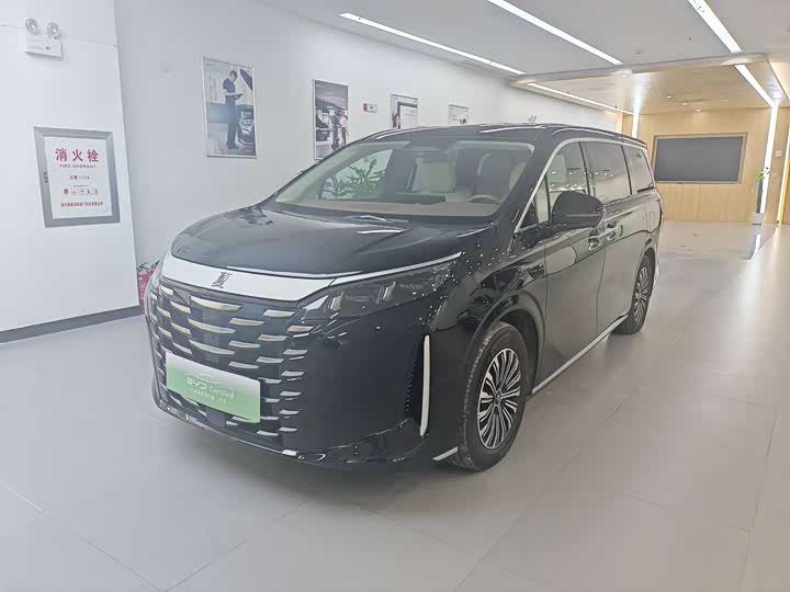 Фото 1 - BYD Xia