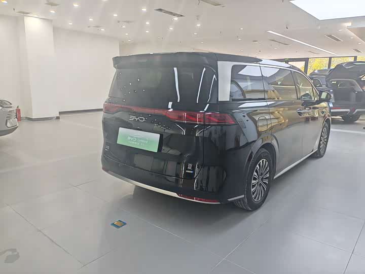 Фото 6 - BYD Xia