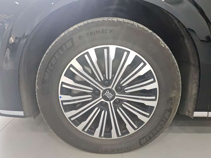 Фото 7 - BYD Xia