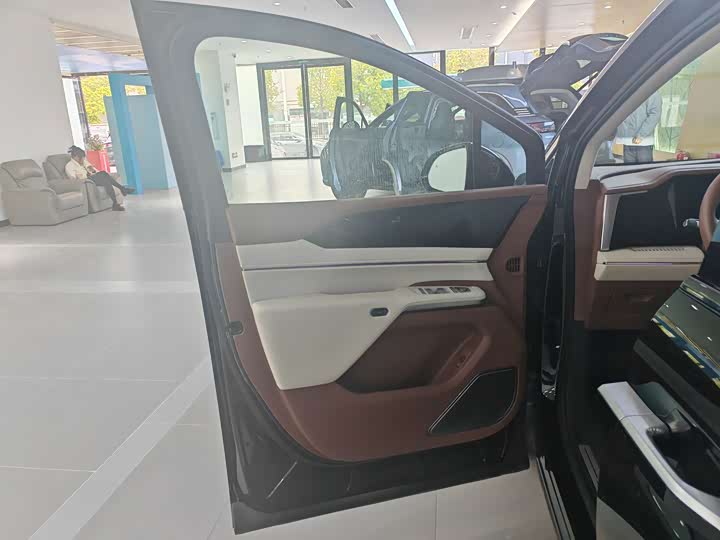 Фото 8 - BYD Xia