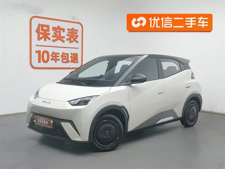 Фото 1 - BYD Seagull