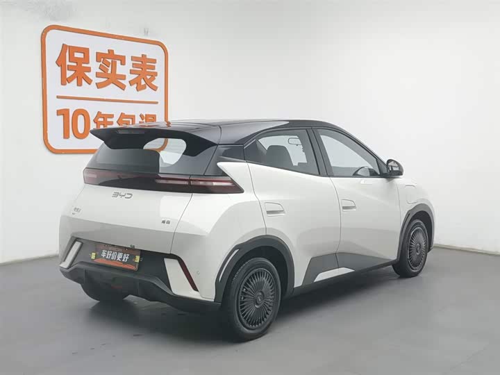 Фото 2 - BYD Seagull