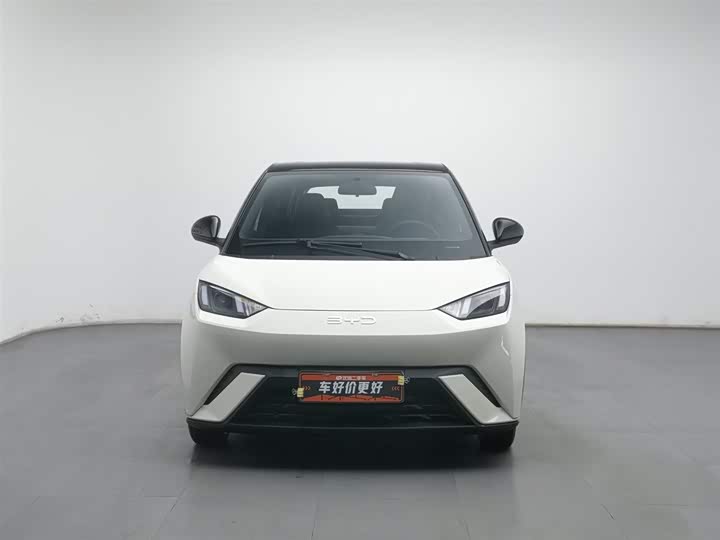 Фото 3 - BYD Seagull