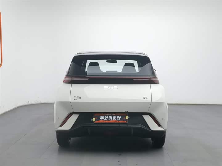 Фото 4 - BYD Seagull