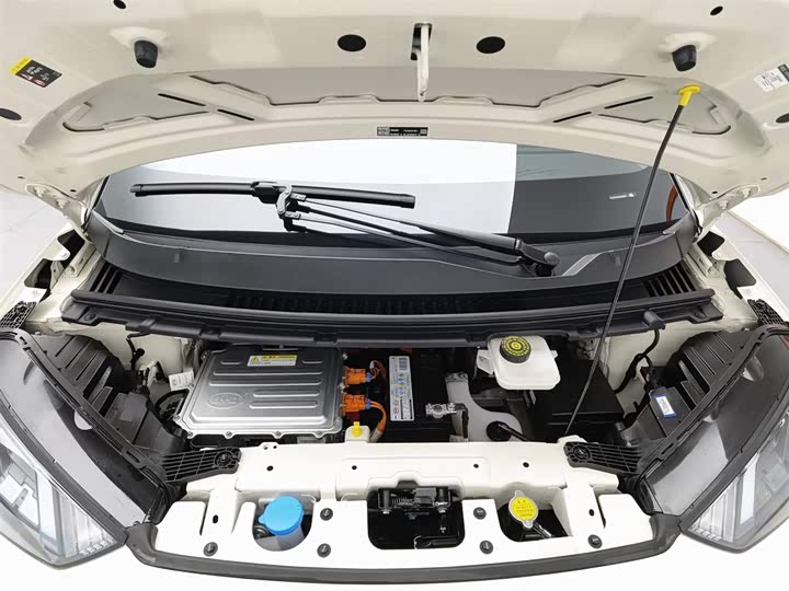 Фото 6 - BYD Seagull