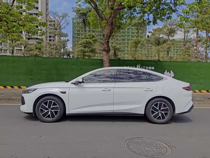 Фото 5 - BYD Qin L