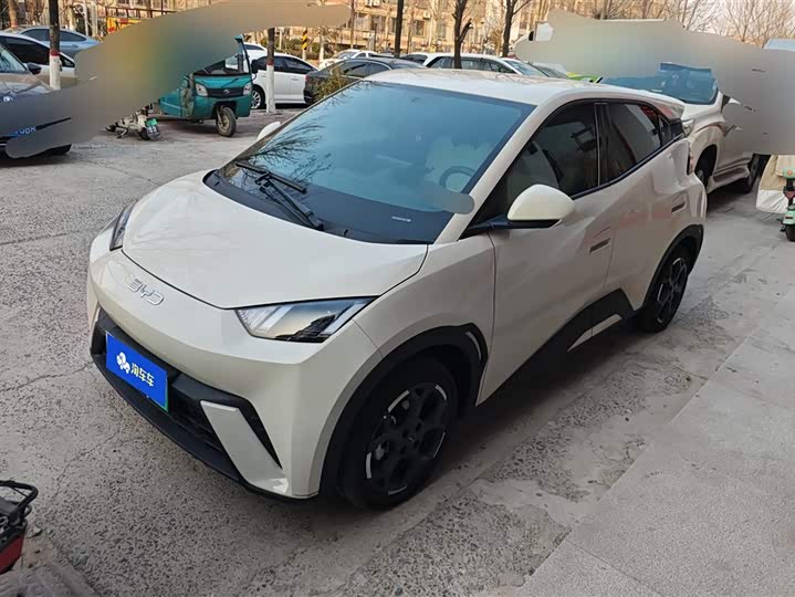 Фото 1 - BYD Seagull