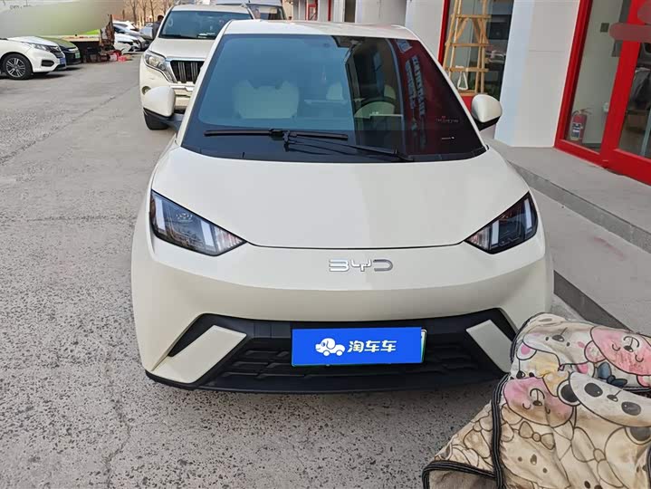 Фото 2 - BYD Seagull