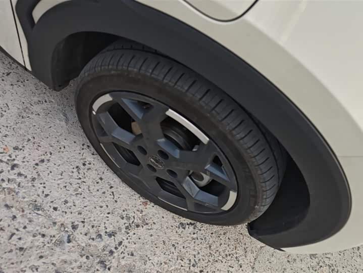 Фото 6 - BYD Seagull