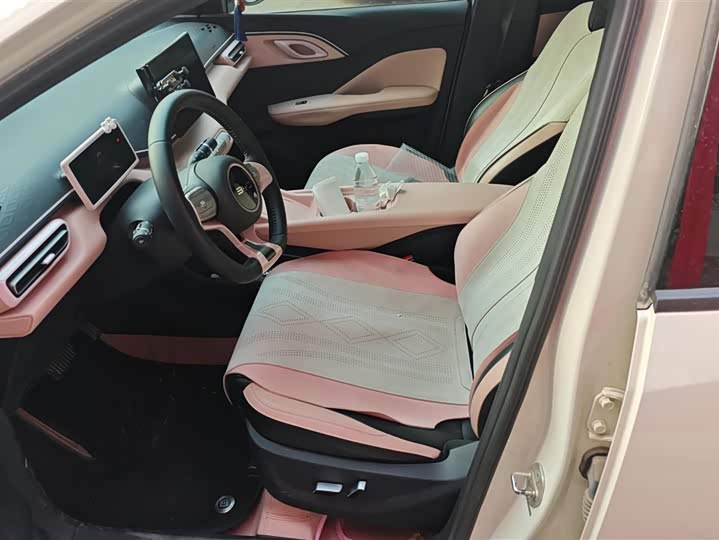 Фото 9 - BYD Seagull