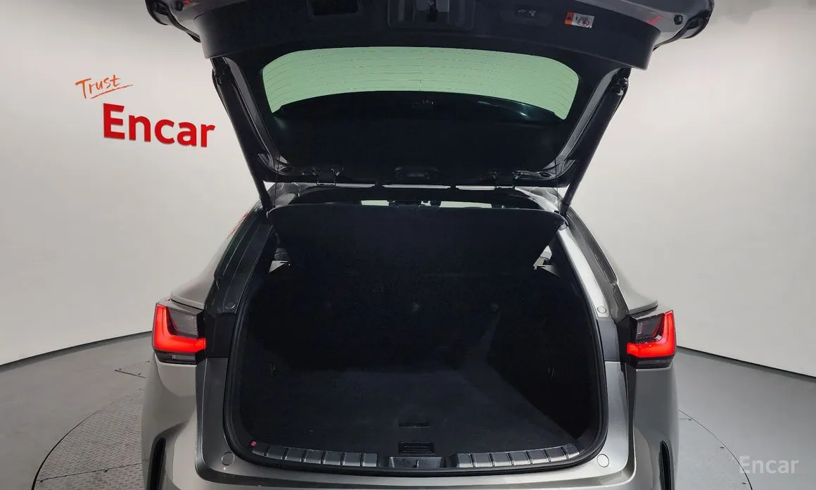 Фото 20 - Lexus NX