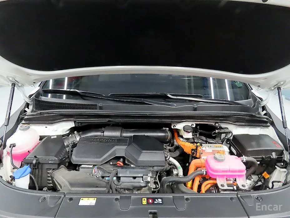 Фото 20 - Kia Carnival