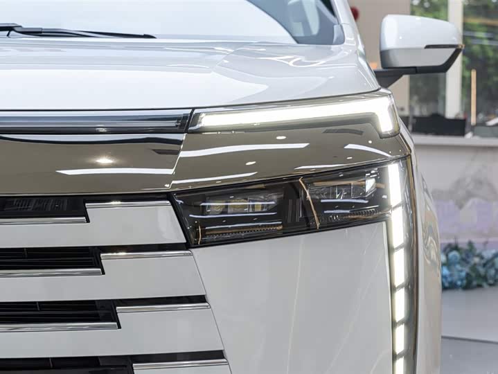 Фото 6 - GAC Trumpchi E8