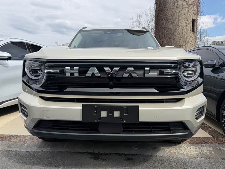 Фото 2 - Haval H-Dog