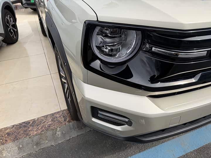 Фото 4 - Haval H-Dog