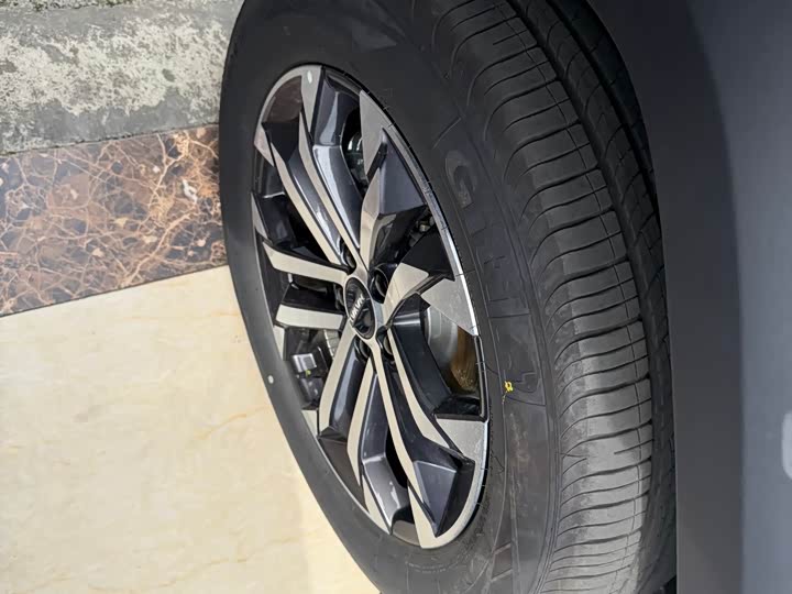 Фото 5 - Haval H-Dog