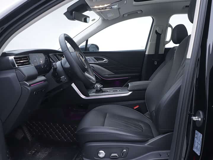 Фото 9 - Hongqi HS7 Hybrid