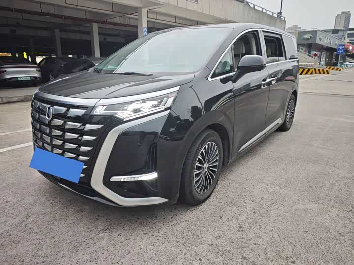 Фото 1 - Denza D9