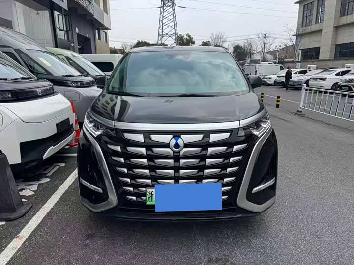 Фото 2 - Denza D9