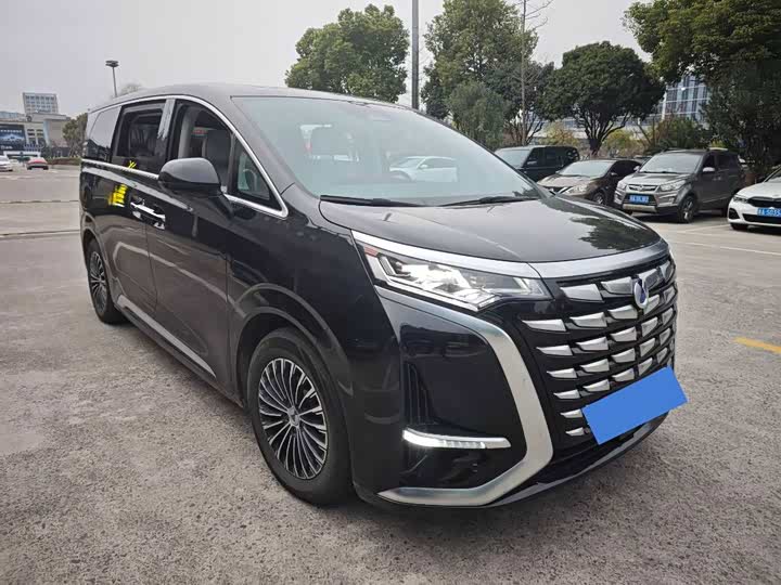 Фото 3 - Denza D9