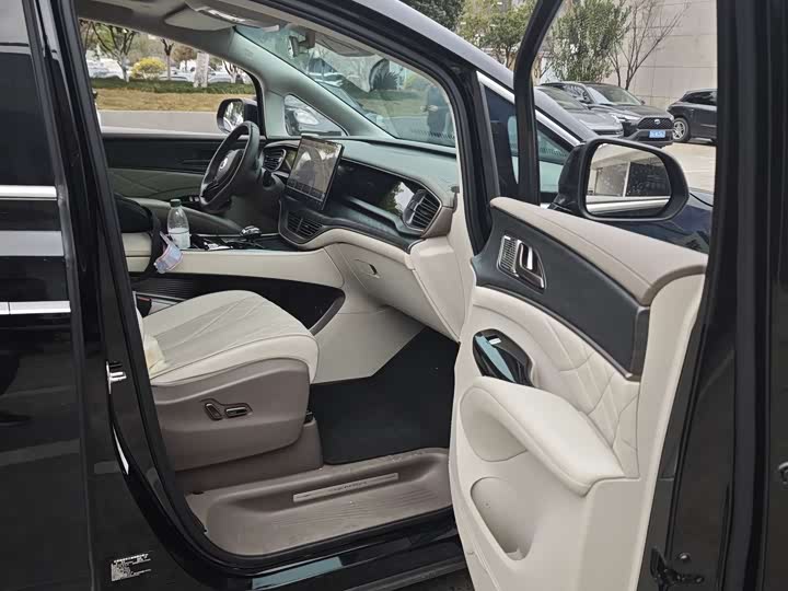 Фото 4 - Denza D9