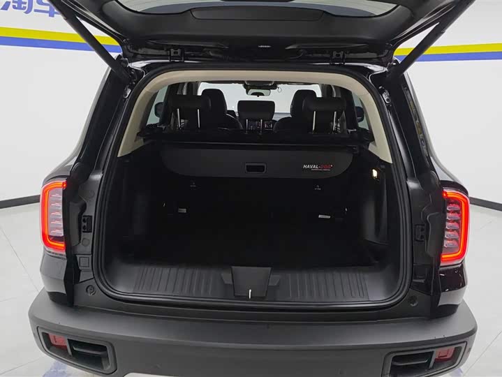 Фото 4 - Haval Dargo