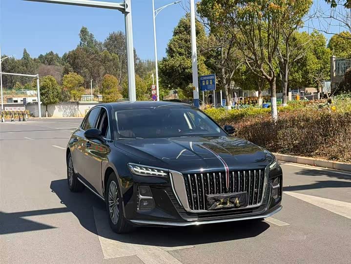 Фото 3 - Hongqi H5