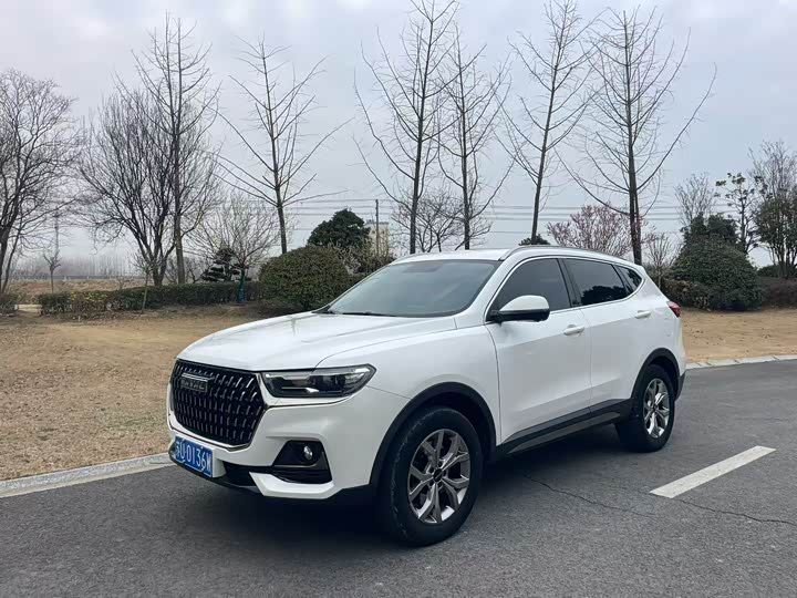 Фото 2 - Haval H6