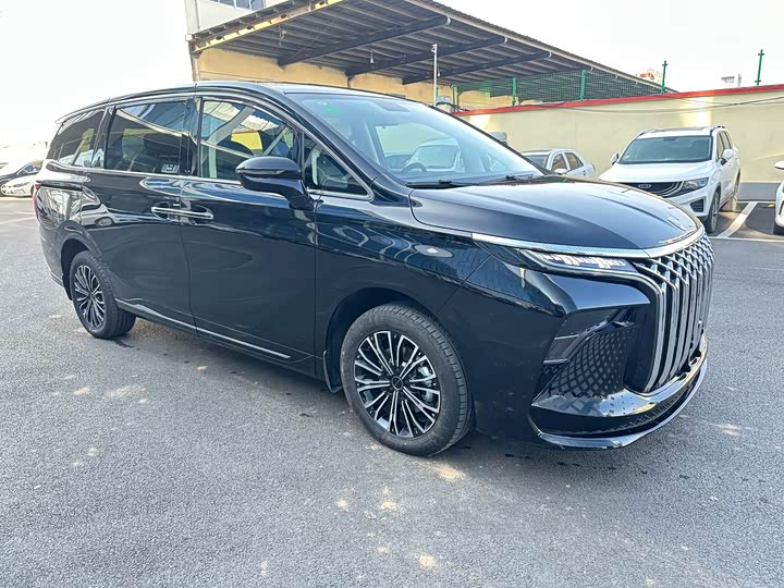 Фото 3 - Dongfeng Forthing Xinghai V9