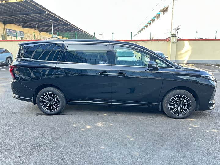 Фото 4 - Dongfeng Forthing Xinghai V9