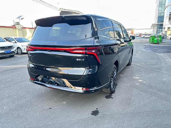 Фото 5 - Dongfeng Forthing Xinghai V9