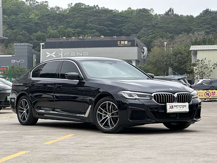 Фото 3 - BMW 5 Series Hybrid