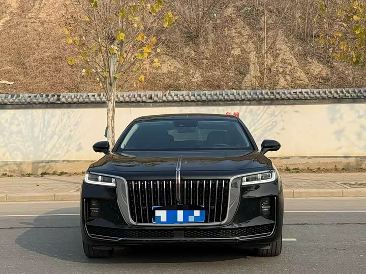 Фото 2 - Hongqi H9