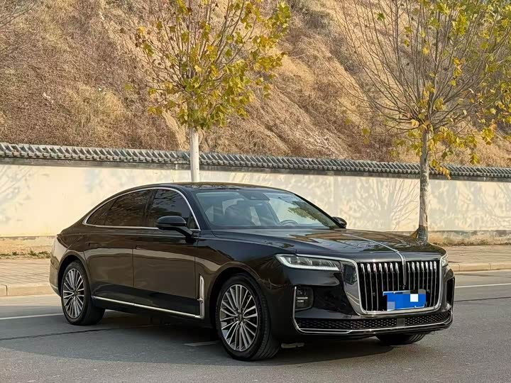 Фото 3 - Hongqi H9