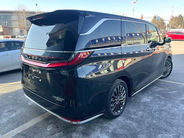 Фото 2 - Lexus LM