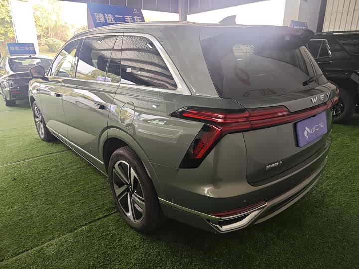 Фото 2 - Wey Lanshan