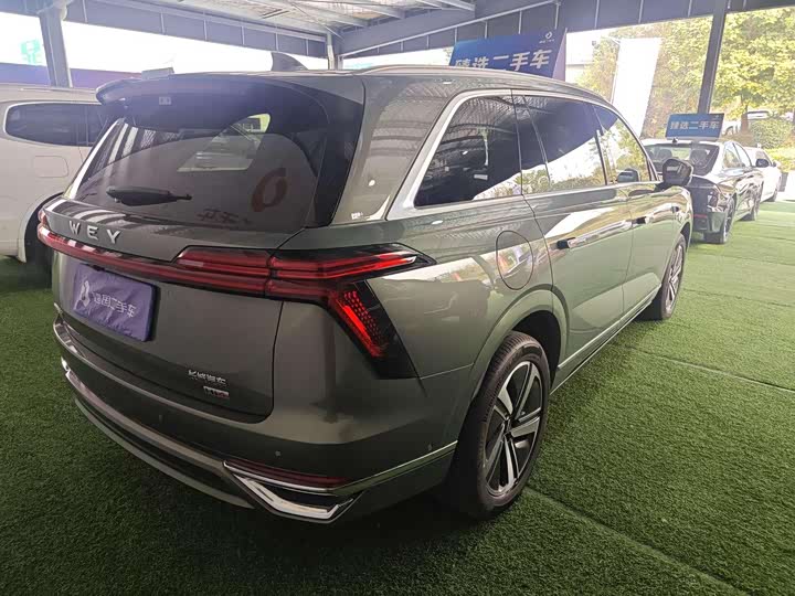 Фото 4 - Wey Lanshan