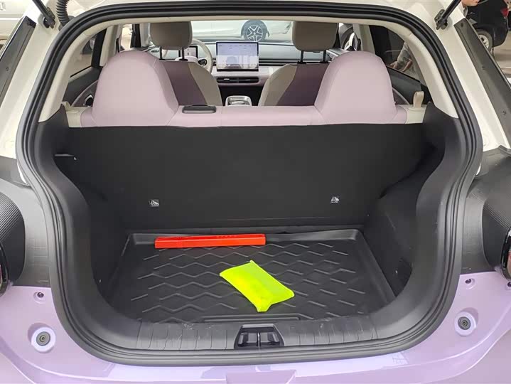 Фото 4 - Dongfeng Yipai 01