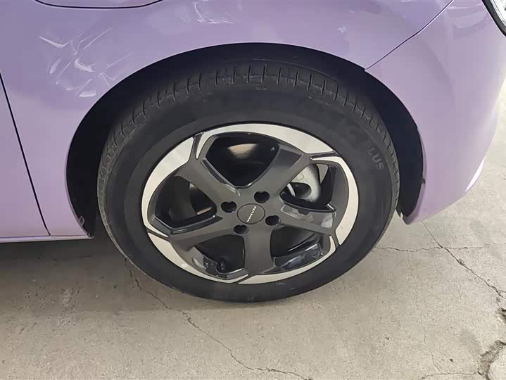 Фото 6 - Dongfeng Yipai 01