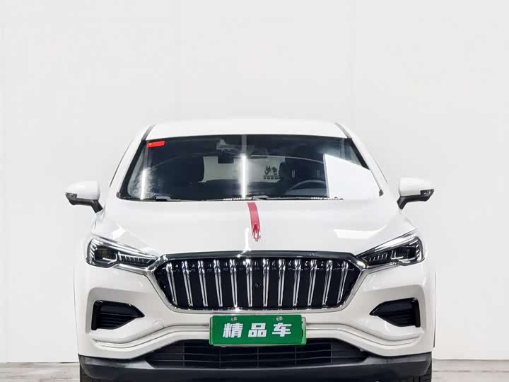 Фото 2 - Hongqi E-HS3