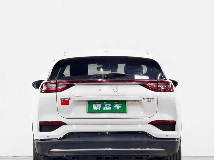 Фото 5 - Hongqi E-HS3