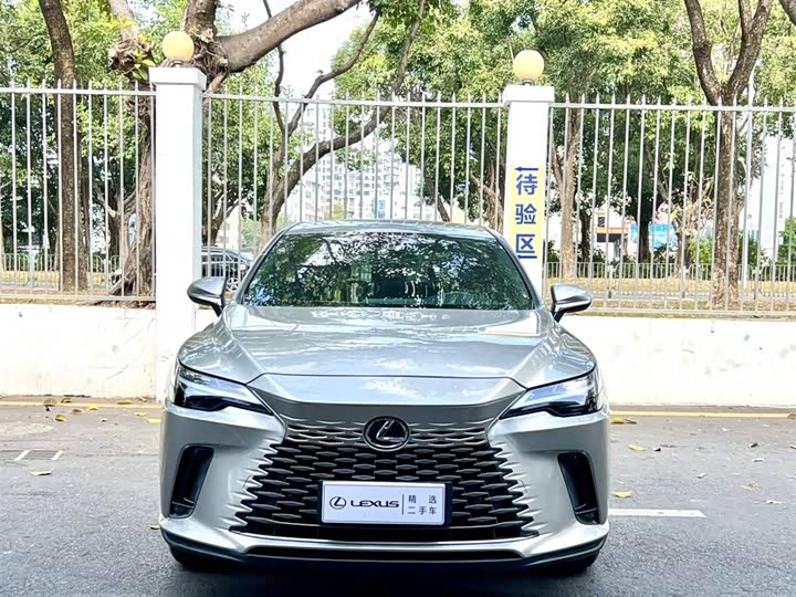 Фото 2 - Lexus RX