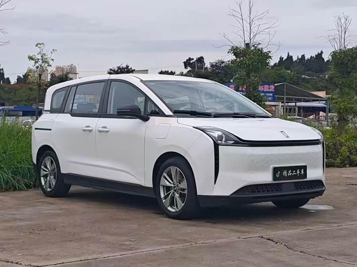 Фото 3 - Bestune NAT