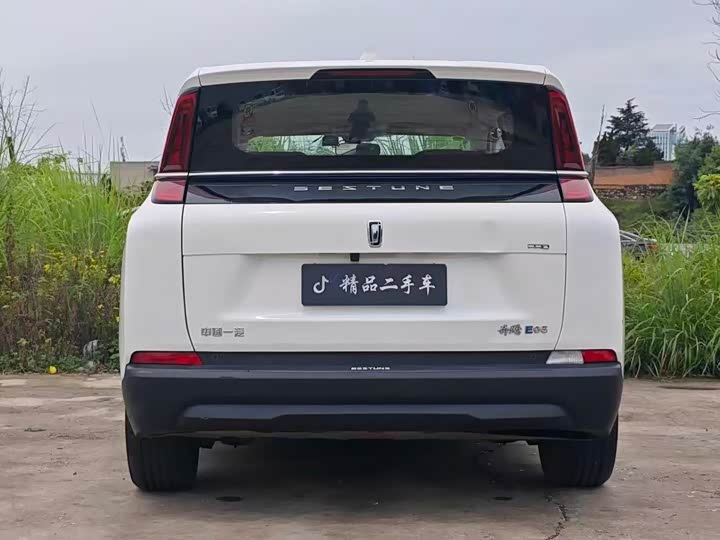 Фото 8 - Bestune NAT