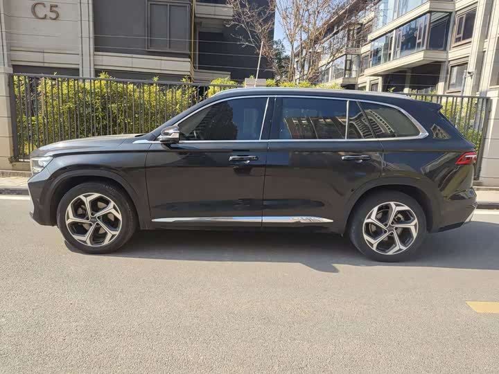 Photo 4 - Geely Monjaro