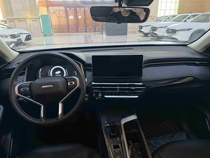 Фото 8 - Haval Chitu